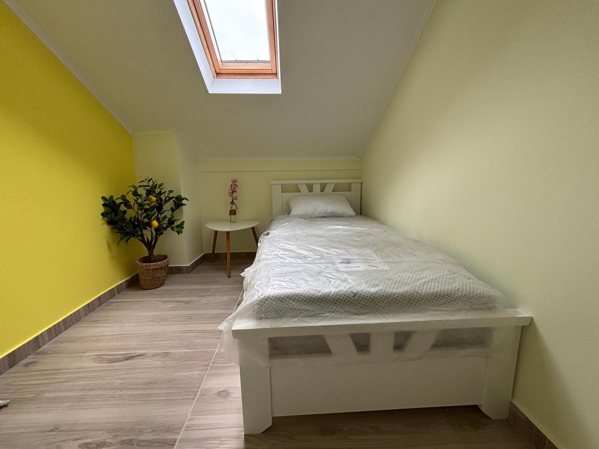 Vuko I Magdalena Midzor Apartment Petrovac Ngoại thất bức ảnh